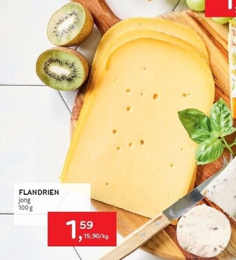 Alvo Flandrien jong 100 g aanbieding