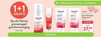 Holland & Barrett Granaatappel dagcrème 30 ml aanbieding