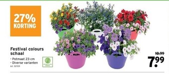 GAMMA Festival colours schaal aanbieding