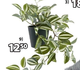 Jysk Asgar kunstplant aanbieding