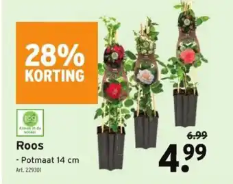 Roos