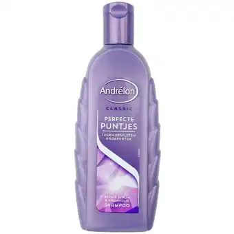 Andrélon shampoo Perfecte Puntjes