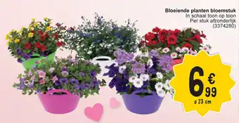 Cora Bloeiende planten bloemstuk In schaal toon op toon Per stuk afzonderlijk (3374280) 23 g 23 cm m aanbieding