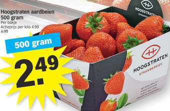 Albert Heijn Hoogstraten aardbeien 500 gram aanbieding