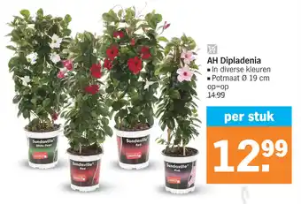 Albert Heijn AH Dipladenia In diverse kleuren Potmaat Ø 19 cm aanbieding