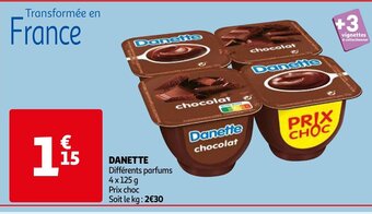 DANETTE Différents parfums 4 x 125g