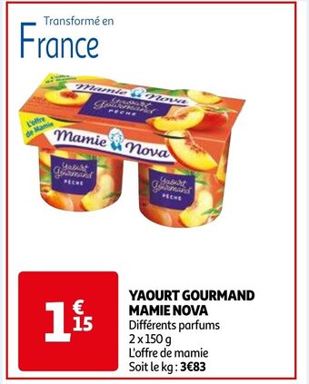 MAMIE NOVA YAOURT GOURMAND 2 x 150g