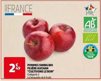 POMMES SWING BIO