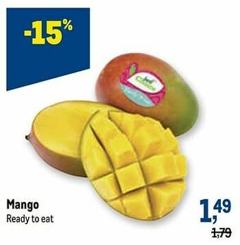 Makro Mango aanbieding