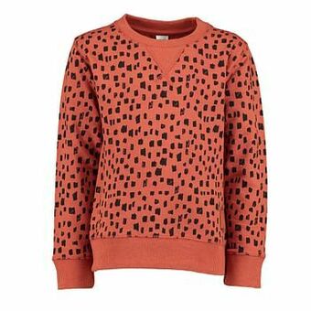 Zeeman Jongens trui aanbieding