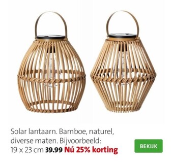 Intratuin Solar lantaarn aanbieding