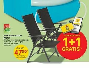 Brico Verstelbare stoel palma aanbieding
