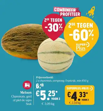Delhaize Meloen aanbieding