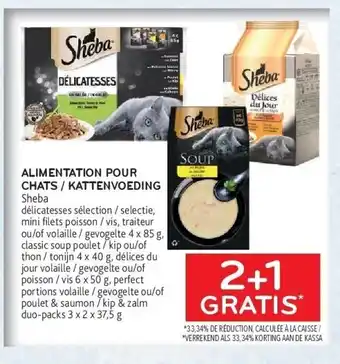 Alimentation pour chats / kattenvoeding