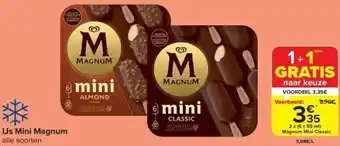 Carrefour Ijs mini magnum aanbieding