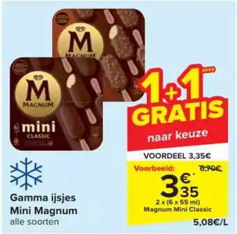 Carrefour MAGNUM 2 x (6 x 55 ml) Magnum Mini Classic aanbieding