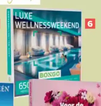 Luxe Wellnessweekend Ref. 6307794