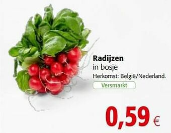 Colruyt Radijzen in bosje aanbieding