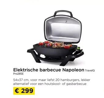 Elektrische barbecue napoleon travel@ pro285e