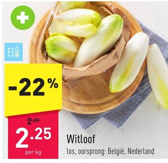ALDI Witloof per kg aanbieding