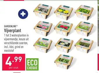 ALDI GARDENLINE Vijverplant per stuk aanbieding