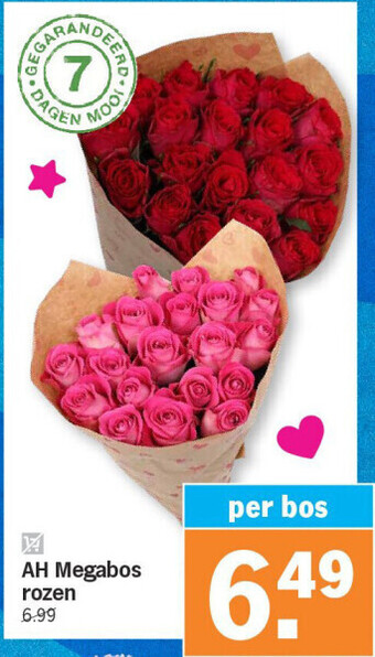 Albert Heijn Ah megabos rozen aanbieding
