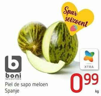 Piel de sapo meloen