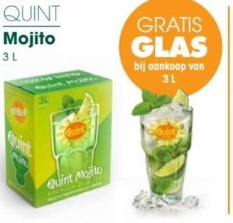 Prik en Tik QUINT Mojito 3 L aanbieding