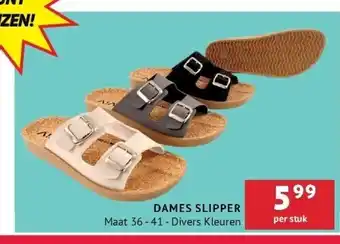 Dames slipper maat 36 - 41 - divers kleuren