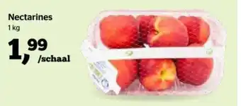 Nectarines 1kg