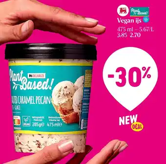 Delhaize Vegan Ijs 475ml aanbieding