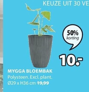 Jysk Mygga bloembak aanbieding