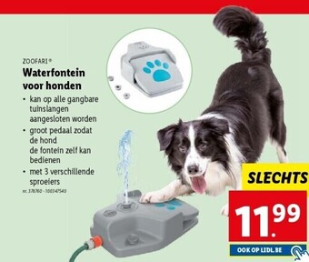 Lidl Waterfontein voor honden aanbieding