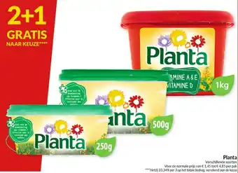 Planta 1kg