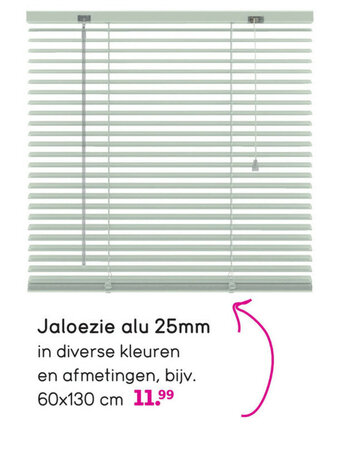 Leen Bakker Jaloezie alu 25mm aanbieding