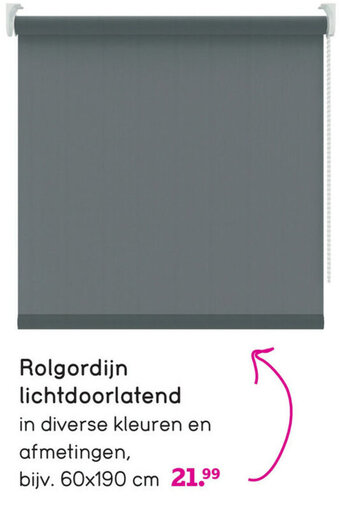 Leen Bakker Rolgordijn lichtdoorlatend aanbieding
