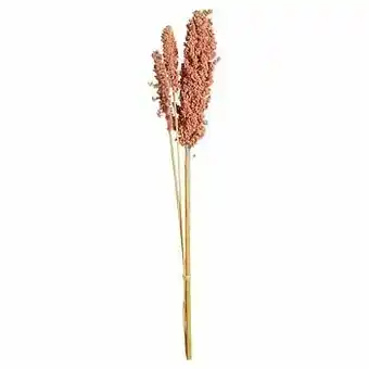Monobos Indian Corn Roze