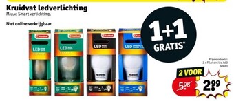 Kruidvat Kruidvat ledverlichting aanbieding