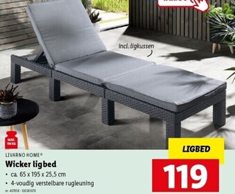 Lidl Wicker ligbed aanbieding