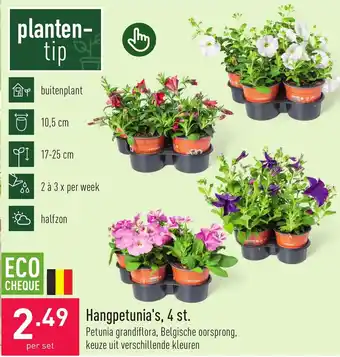 ALDI Hangpetunia's, 4 st. per set aanbieding