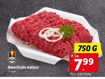 Lidl Americain natuur 750g aanbieding