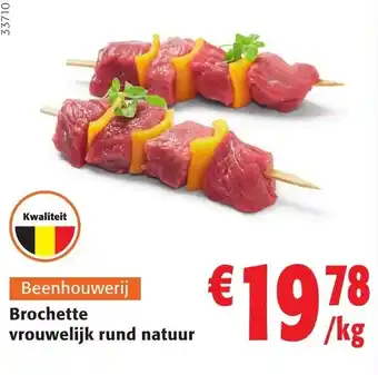 Colruyt Brochette vrouwelijk rund natuur aanbieding