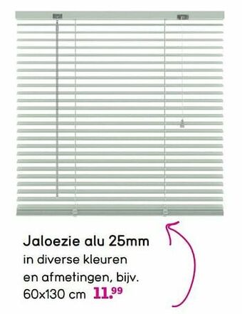 Leen Bakker Jaloezie alu aanbieding