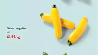 Gele courgette los