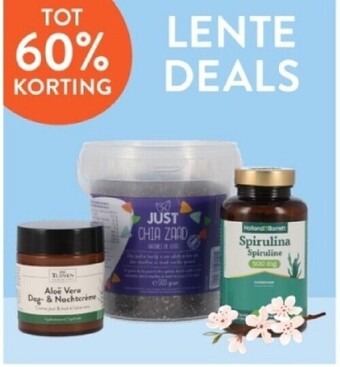 Lente deals