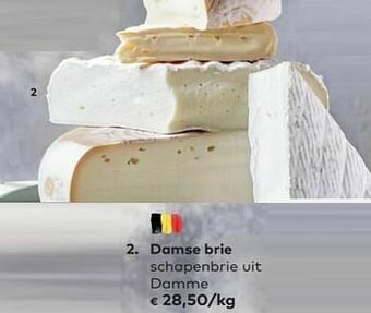 Damse brie schapenbrie uit damme