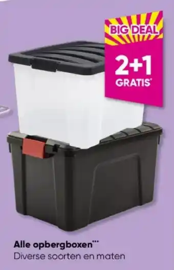 Big Bazar Alle opbergboxen™* aanbieding