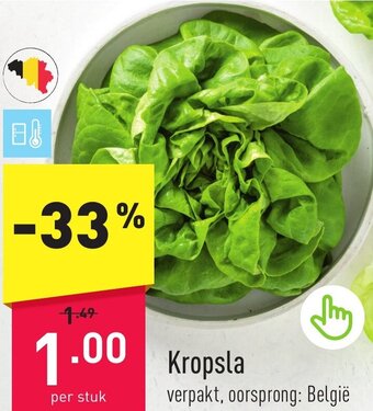ALDI Kropsla aanbieding