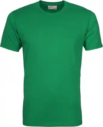 Colorful standard - t-shirt kelly green - regular-fit