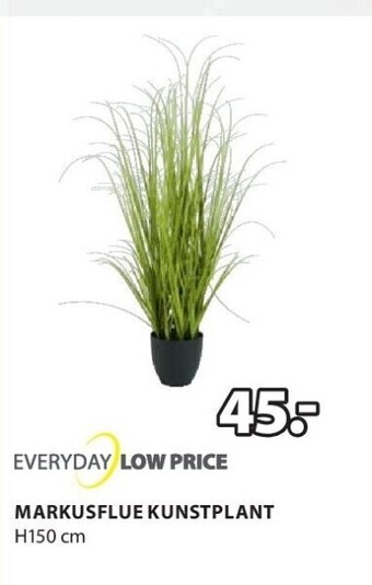 Jysk Markusflue kunstplant h150 cm aanbieding